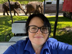 A dark haired woman wearing black framed glasses and a blue blouse in a golf cart with two elephants in the background.