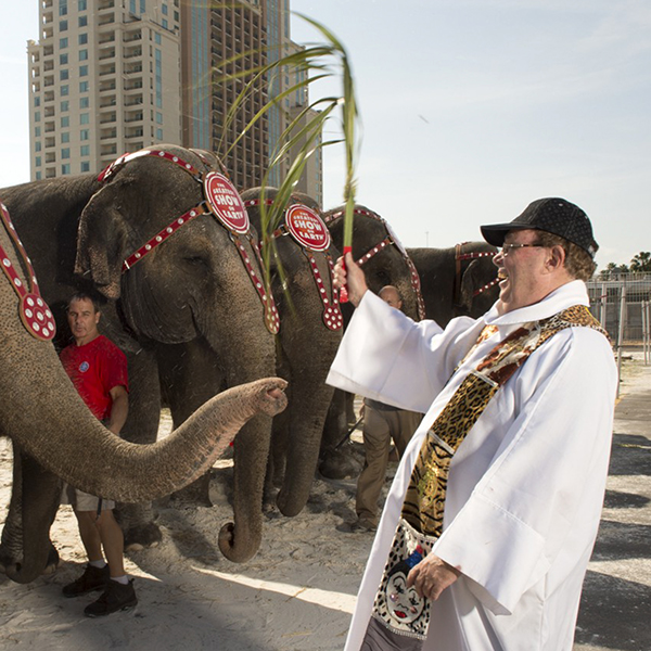 Father Jerry Hogan blessing Ringling Bros. and Barnum & Bailey Circus elephants, wearing white robe and an multiple animal patterned stole.